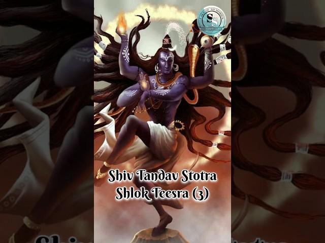 Shiv Tandav Stotra Phrase 3 - Explained #mahakal #shiv #mahadevwanttotalkyou
