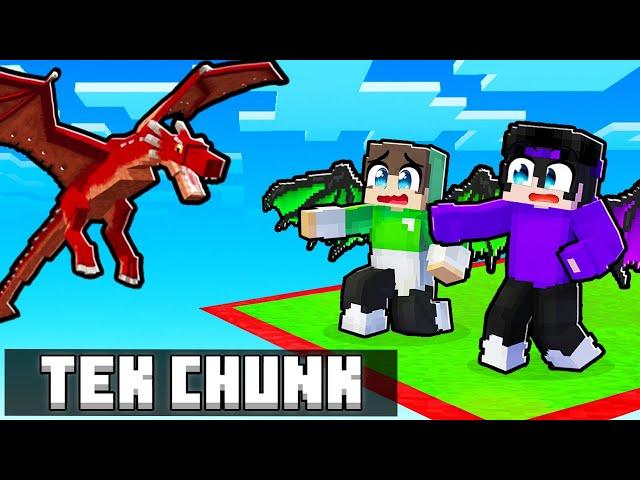 TEK CHUNK'TA EJDERHA OLARAK HAYATTA KALMAK!  - Minecraft