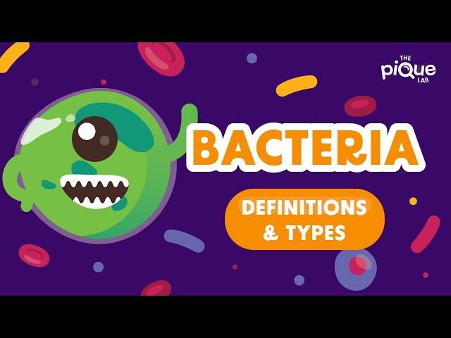 Bacteria: Definition & Types | Primary School Science Animation