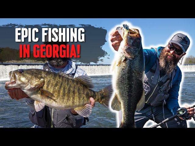 Georgia River Fishing For Big Bass!