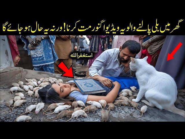 Ghar Main Billi Palnay Walay Hazraat ye Video Ignore Na Karna || Islam Advisor