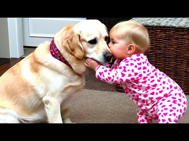 When Babies And Dogs Being Best Friends  Funny Baby Videos || Cool Peachy