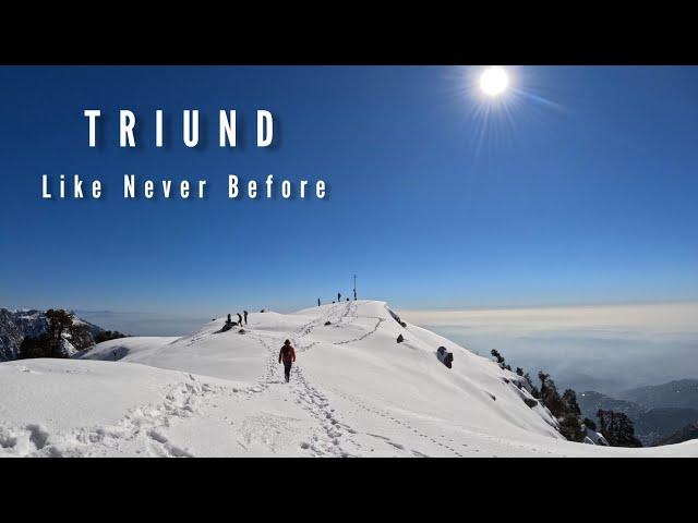 Triund Trek in January 2023 | Triund Trek Mcleodganj, Himachal Pradesh | Trippy Buddy