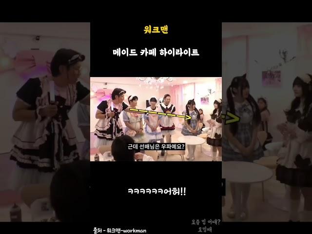 [워크맨] 메이드 카페 하이라이트 ㅋㅋㅋㅋㅋㅋㅋㅋ여기서 그 얘기가 왜 나와요