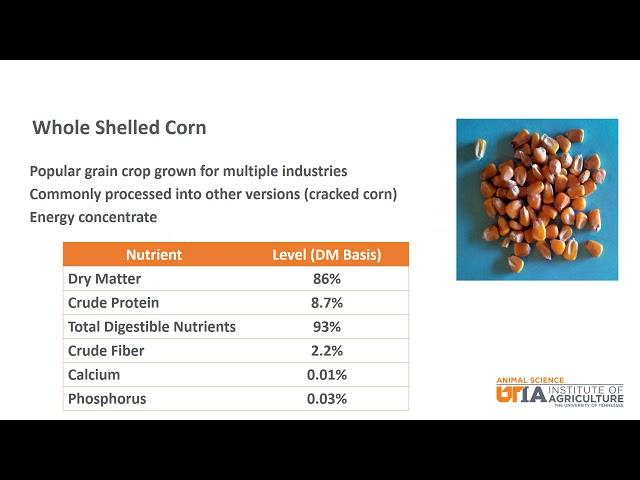 Beef Skillathon Study Series: Feedstuffs