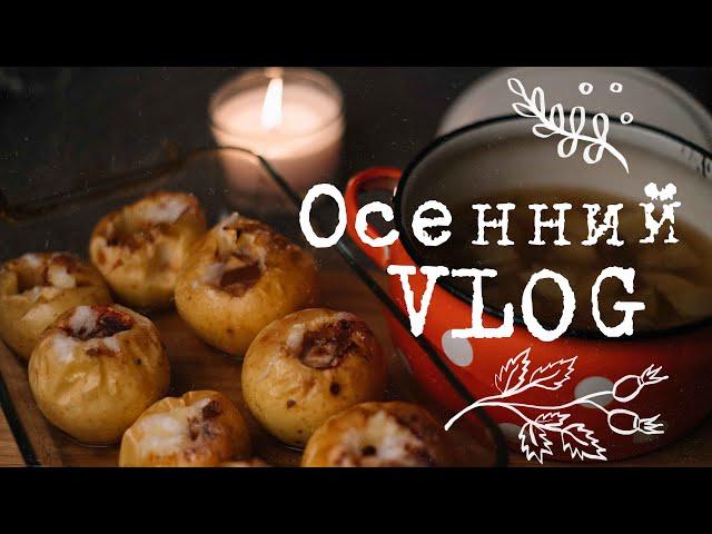 Очень осенний VLOG I Подготовка к зиме