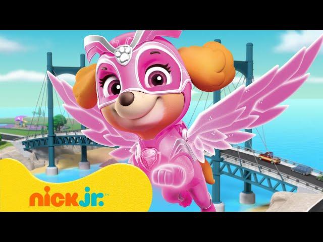 PAW Patrol Bridge Rescues and Adventures!  10 Minutes | Nick Jr.