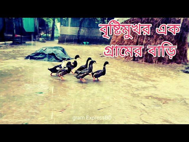 বৃষ্টিমুখর এক গ্রামের বাড়ি A house in a rainy village gram ExpressBD