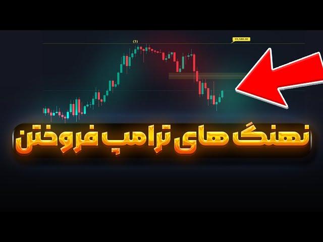 نهنگ های ترامپ فروختن؟ | شانس صد هزار دلاری شدن | دوج