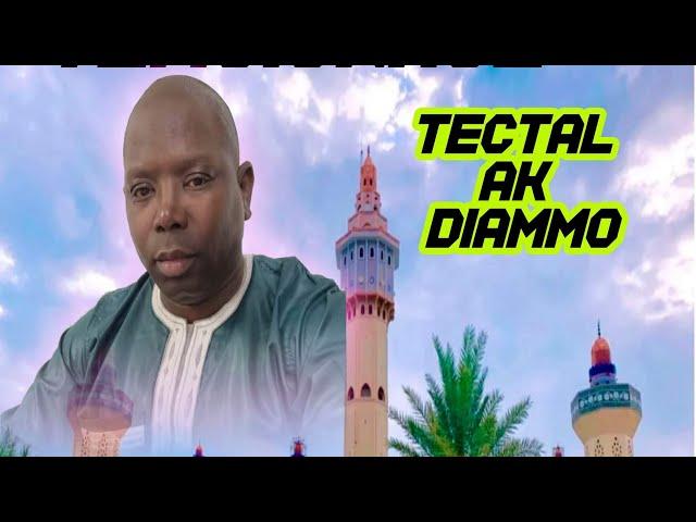 TECTAL Ak DIAMMO N•33 (New katane)