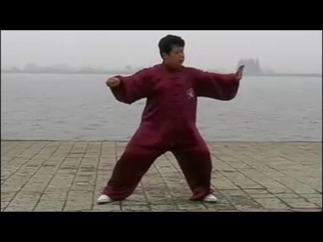 Chen Yu  - Tai Chi style Chen Xinjia Yilu [陈氏太极拳新架 Taijiquan style Chen]