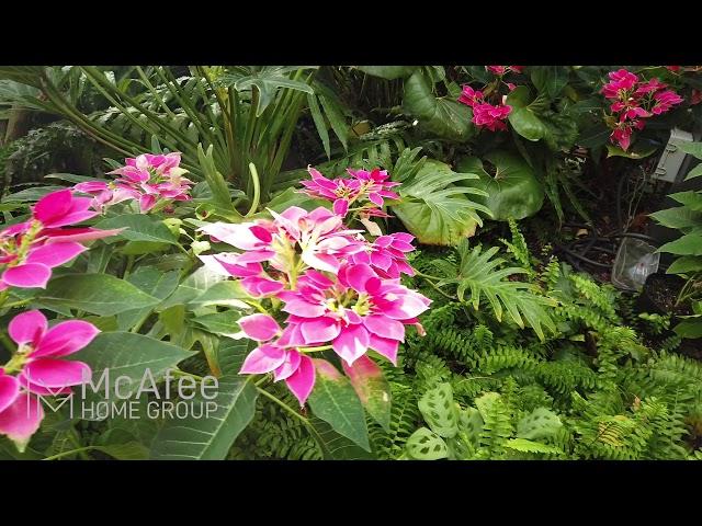 Explore downtown Fort Wayne's Botanical Conservatory!