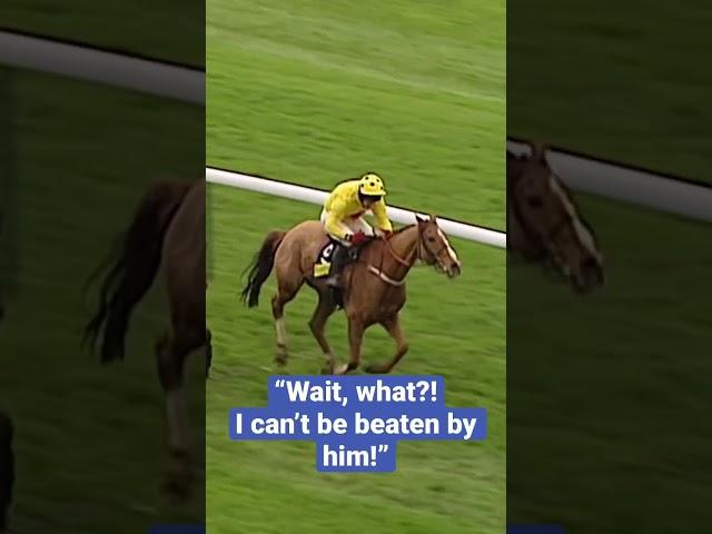 THE CRAZIEST RACE FINISH EVER?  #horseracing #animals #animalshorts #horse #horses #horseshorts