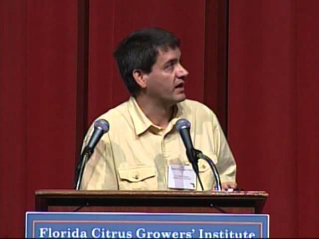 Asian Citrus Psyllid Management in Young Citrus