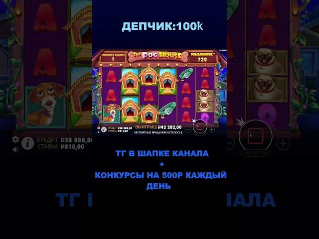 ЗАКУПИЛИ БОНУС В СОБАКАХ И ЛУТАЕМ ЗАНОС  #slots #gatesofolympus #заносынедели #slot #bigwin #казик