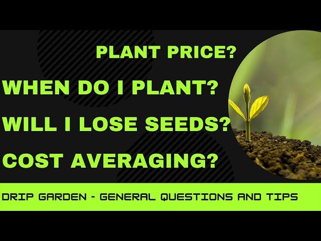 DRIP Garden - Plant Price? - When Do I Plant? - Will I Lose Seeds? - Cost Averaging - Farm Worth It?