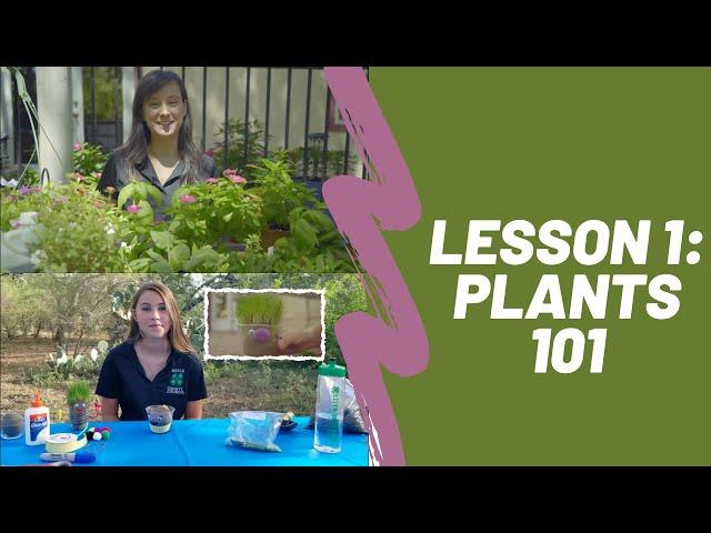 4-H at Home Garden Series: Lesson 1 *Plants 101*