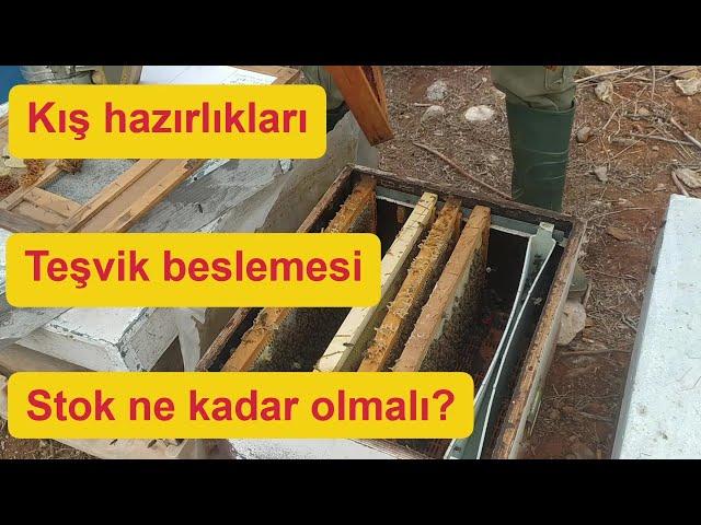 Yavru için teşvik beslemesi/ Arıcılık