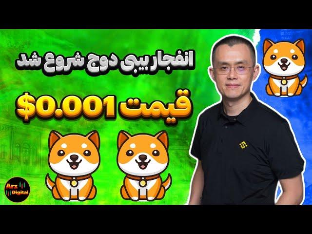 قیمت بیبی ددوج در سال ۲۰۲۴ 0.001؟ | رشد انفجاری بیبی دوج شروع شد