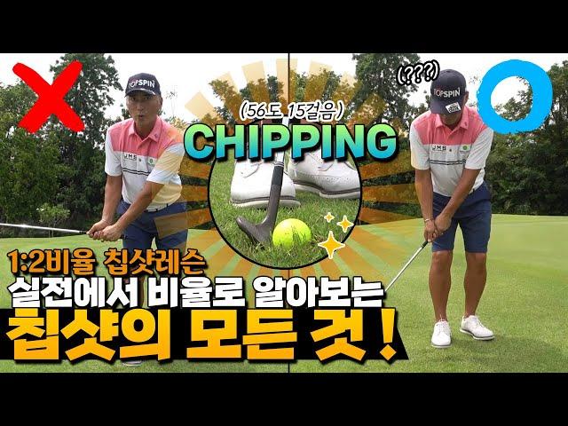 1:2비율 칩샷레슨 | ALL ABOUT CHIPPING!