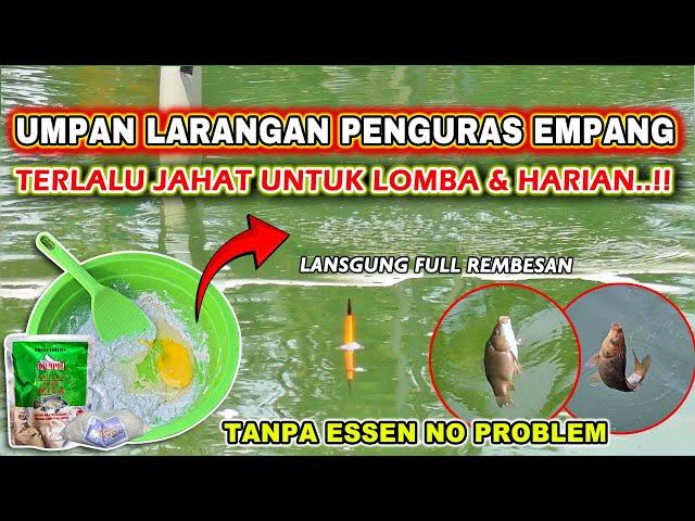 UMPAN KUKUS TERGILA PENGURAS EMPANG !! IKAN NGUMPUL & MAKAN LAHAP PAKE UMPAN IKAN MAS INI 