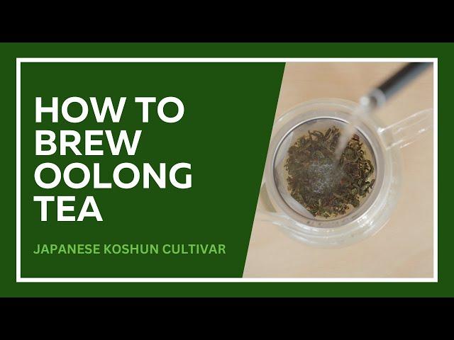 How To Brew Japanese Oolong Tea (Rare Koshun Cultivar)