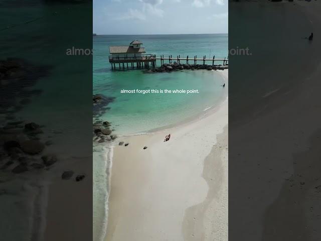 nothing better than a book & the beach