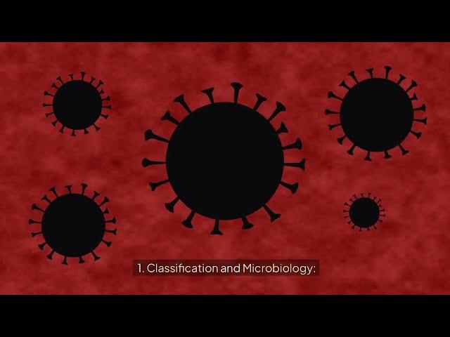 Life-Threatening Infections: Early Detection and Treatment of Necrotizing Soft Tissue Infections