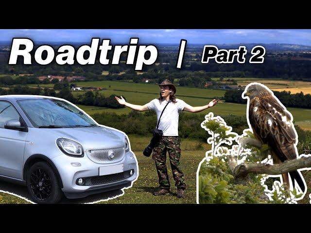 Wildlife Photography Solo CAR CAMPING Roadtrip to the Chilterns! | Part 2