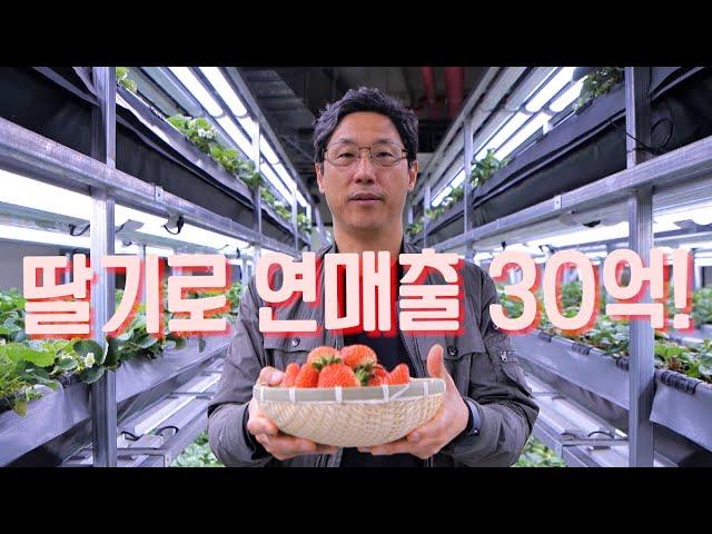 [역전의부자농부 349회] 딸기 농장 운영으로 연 매출 30억 원! 세종 이상훈 부자농부