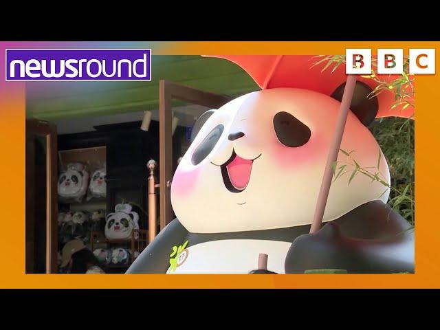 Panda Festival and a cute baby Hippo | Happy News | Newsround