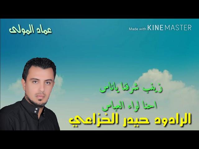 زينب شرفنا يا ناس احنا لواء العباس ع الرادود حيدر الخزاعي في تلعفر موكب الجوادين