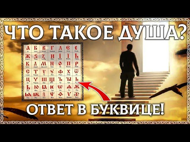 ЧТО ТАКОЕ ДУША? – расшифровка слова! Буквица в помощь! Этимология