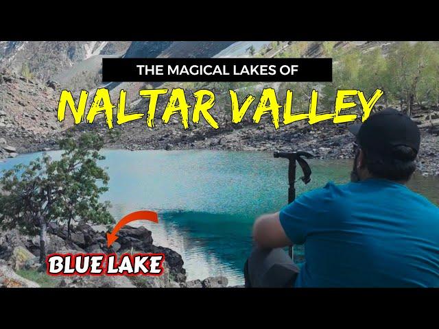 Full of Drone Shots Like never seen before | Picturesque Naltar Valley Gilgit Baltistan