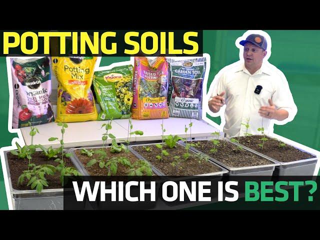 Which Potting Soil Is Best? Collection 1