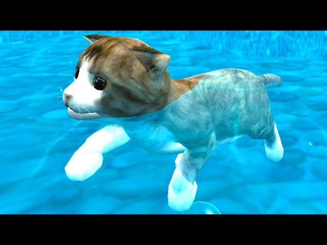 Симулятор Кота #1 Маленький котенок в Cat Simulator Kitty Craft с Кидом на пурумчата