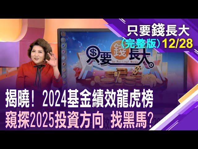 2024年基金績效龍虎榜 窺探2025投資方向!主動型基金打不贏大盤 非戰之罪?2025該不該見風轉舵 美股仍是投資重中之重?【20241228只要錢長大(完整版)*鄭明娟(馮志源×朱岳中)】