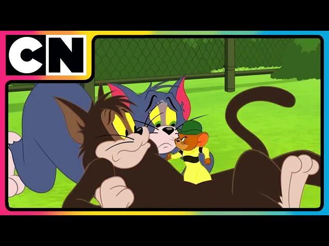 Tom and Jerry | The Squeaky Ball  Chaos! | Cat and Mouse | Cartoon for Kids | @cnindia