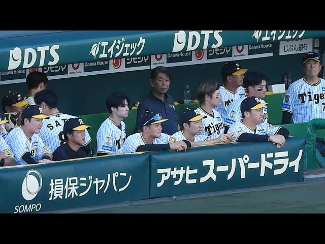 【痛恨の敗戦】試合終了後、悔しさを滲ませながらグラウンドを見つめる阪神ナイン。しばらくベンチを動けず 2024.9.23