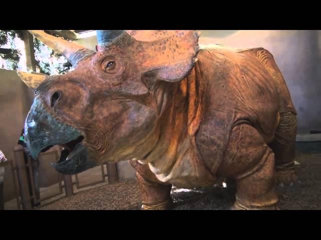 Triceratops Discovery Trail at Jurassic Park in Universal Islands of Adventure