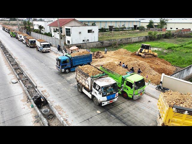 New Project Land Filling Up 5Ton Dump Truck Moving Dirt Mini Bulldozer KOMATSU Pushing Clearing Dirt