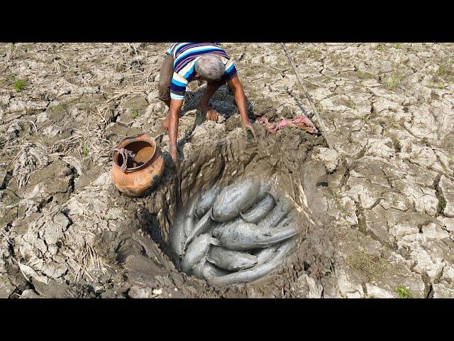 Catfish in Secret Hole Dry By Smart Boy -Smart Boy Catching Big Fish By Mud In The Dry Season