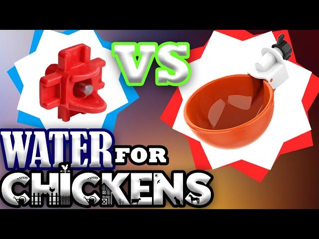 Best vs. Worst Chicken Waterers!  How to give them fresh/clean water