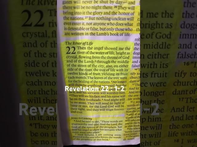 Revelation 22: 1-2 The River In Heaven #God #Jesus #HolySpirit #scripture #christian #scriptures