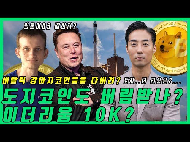 도지코인 시바이누 이더리움 창시자 비탈릭이 버렸다? 일론머스크는? 뭐야?!  | 알트불장 구간은 바로  이구간이다!