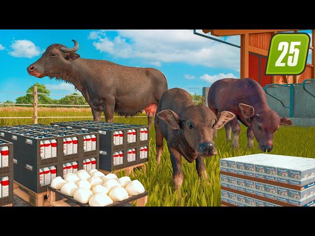 ANIMALE, FABRICI SI PRODUSE NOI IN FARMING SIMULATOR 25