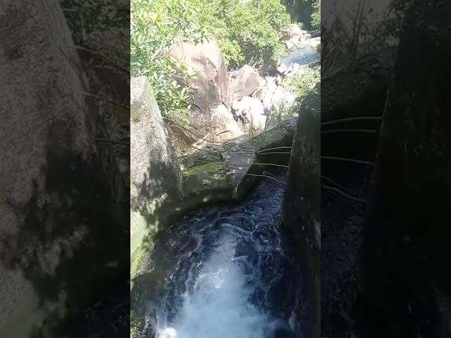 Tai Shui Hang Waterfalls #shorts #hikingtrail #hikingvlog #swimming #chill #nature