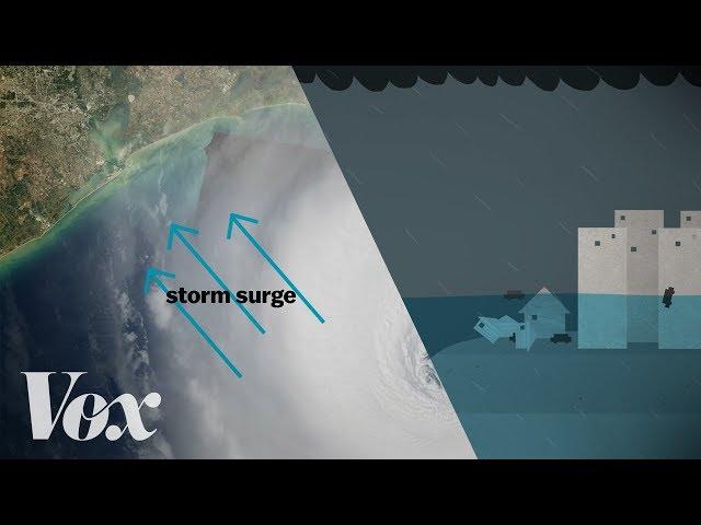 Why a storm surge can be the deadliest part of a hurricane