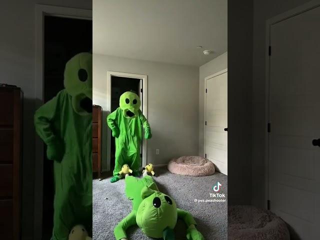 Peashooter got some moves #dancing #peashooter