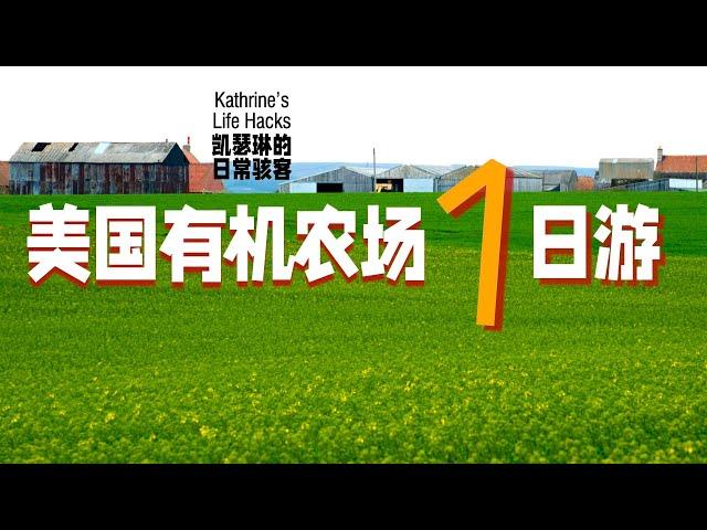 美国有机农场一日游｜有机农场有什么不一样的？